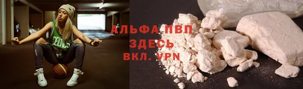 PSILOCYBIN Новокубанск