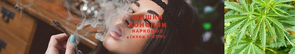 PSILOCYBIN Новокубанск