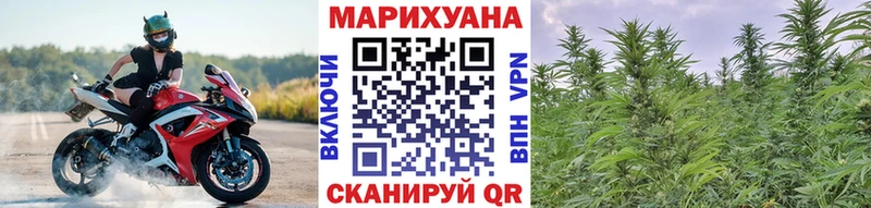 OMG зеркало  Сретенск  Марихуана сатива 